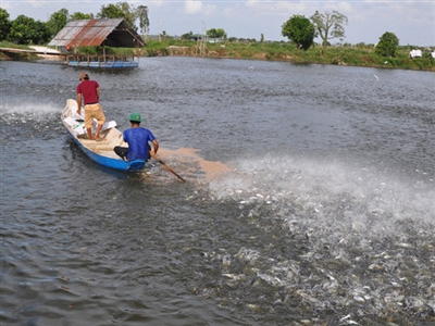 giá thức ăn vẫn tăng