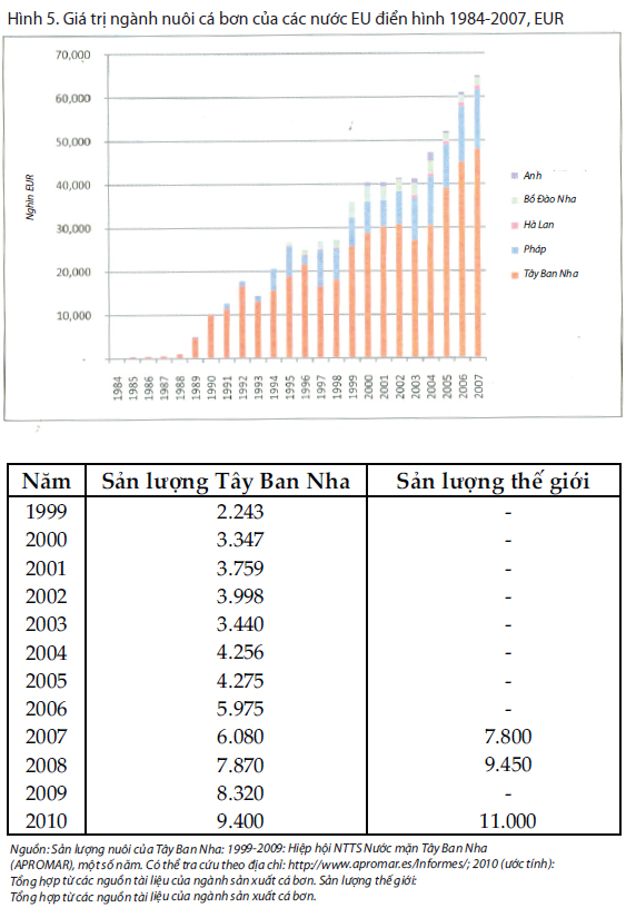 giá trị cá bơn