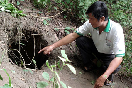 Hang rắn khổng lồ ở Tịnh Biên (An Giang)