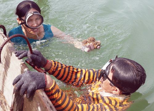 hàu sông quảng bình