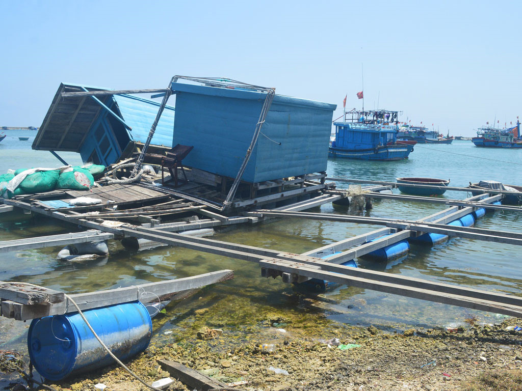 hệ lụy từ nuôi tôm tự phát