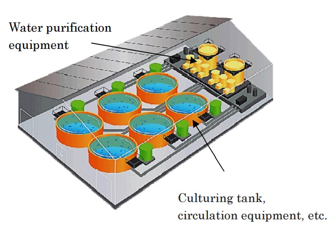 nuôi cá trong hệ thống tuần hoàn, nuôi tôm trong hệ thống tuần hoàn, hệ thống tuần hoàn của Nhật