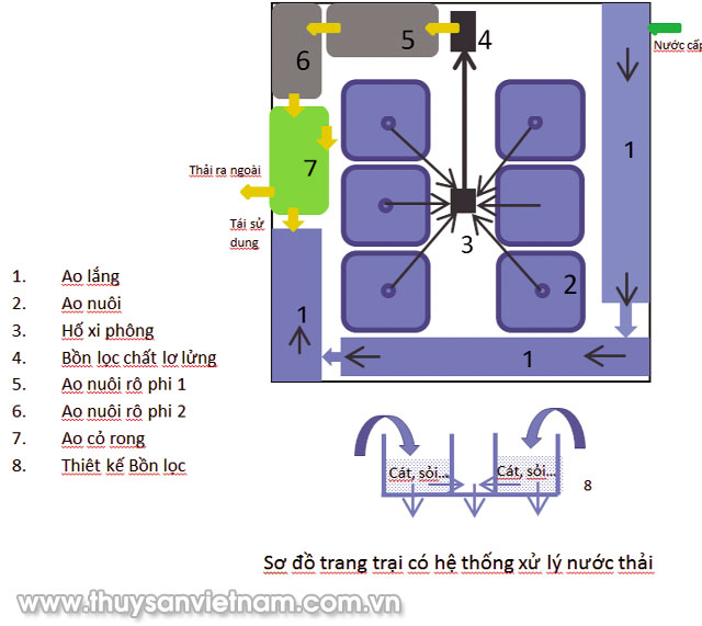 nuôi tôm, lọc nước trong nuôi tôm, xử lý chất thải nuôi tôm, hệ thống xử lý chất thải trong nuôi tôm