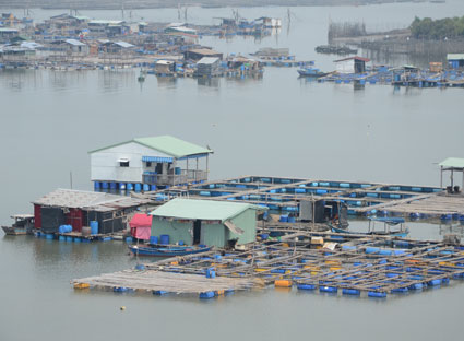 hộ chăn nuôi thủy sản