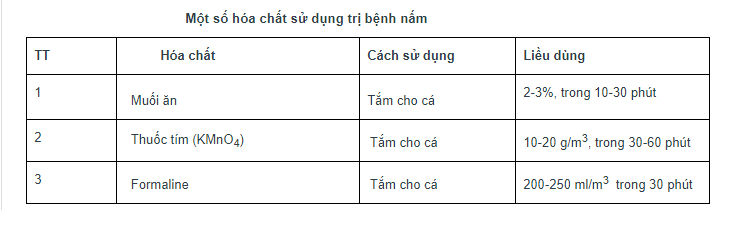 trị bệnh cho cá, trị bệnh nấm cho cá, hóa chất trị bệnh nấm