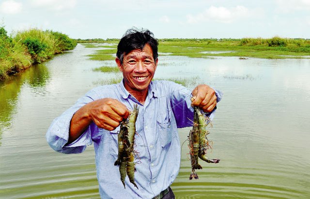 nuôi tôm quảng canh