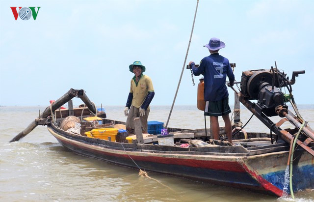 khai thác ruốc, chế biến ruốc, nghề ruốc