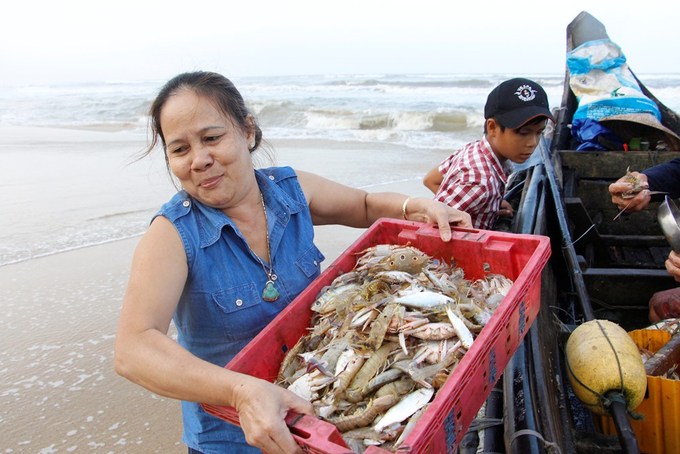 mùa cá khoai, khai thác thủy sản, khai thác thủy sản Huế, cá khoai, đánh bắt cá khoai