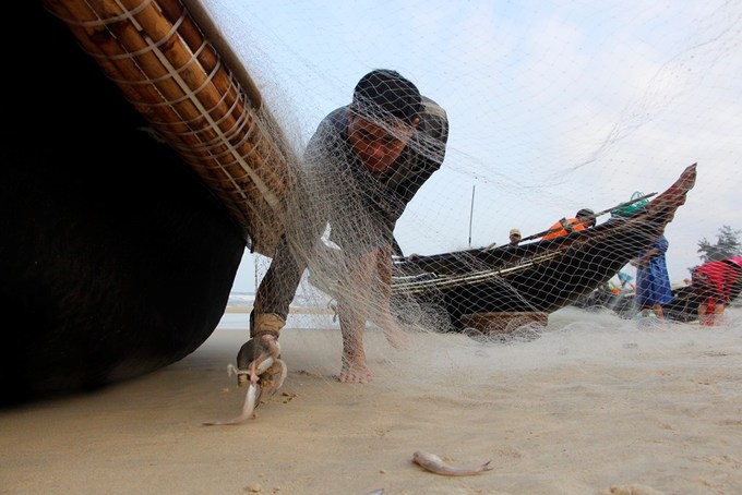 mùa cá khoai, khai thác thủy sản, khai thác thủy sản Huế, cá khoai, đánh bắt cá khoai