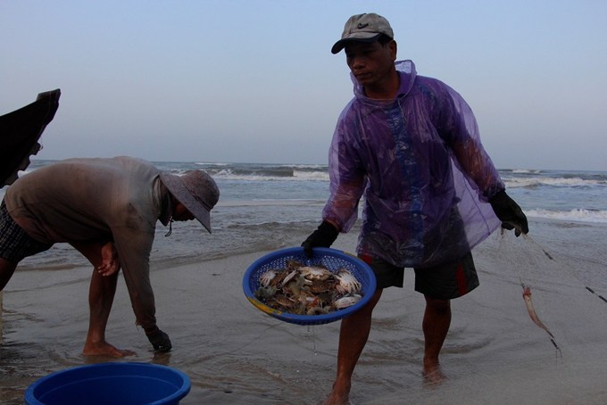 mùa cá khoai, khai thác thủy sản, khai thác thủy sản Huế, cá khoai, đánh bắt cá khoai