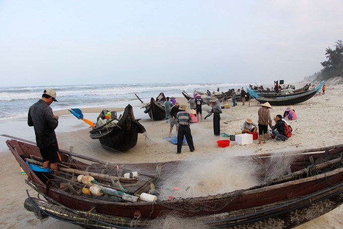 mùa cá khoai, khai thác thủy sản, khai thác thủy sản Huế, cá khoai, đánh bắt cá khoai