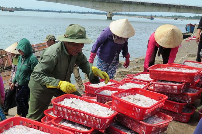 khai thác thủy sản, đánh bắt thủy sản, tàu cá, khai thác cá, đánh bắt xa bờ