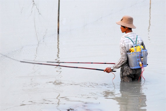 nguồn lợi thủy sản, thả cá, nguồn lợi thủy sản Đồng Tháp, NLTS