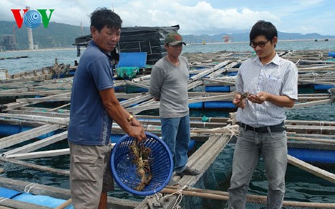 khu nuôi cá lồng bè