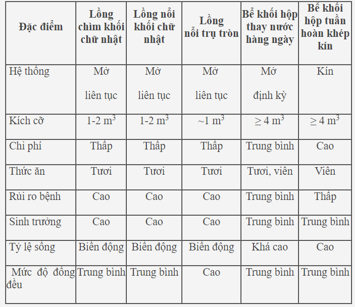 tôm hùm, sản xuất tôm giống, tôm giống, tôm hùm giống, sản xuất tôm hùm giống