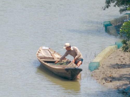 Anh Tới giong ghe đi kiểm tra bẫy