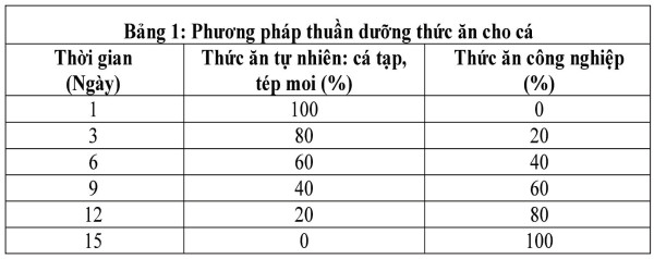 kỷ thuật nuôi cá bống bớp, nuôi cá bống bớp trong ao nước lợ, kỷ thuật nuôi cá