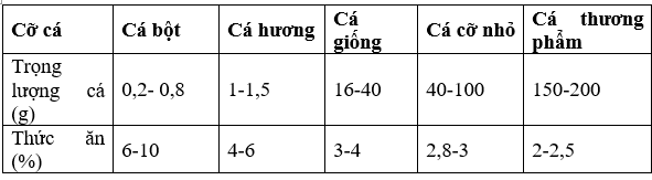 kỹ thuật nuôi cá chình, kỹ thuật nuôi cá, kỹ thuật nuôi cá chình bông, nuôi cá chình