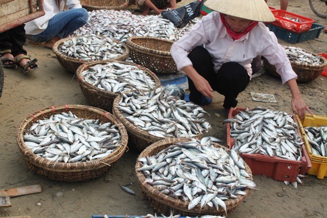 làm sạch cá thu