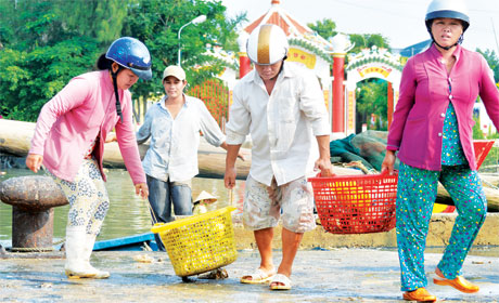 làng biển tấp nập