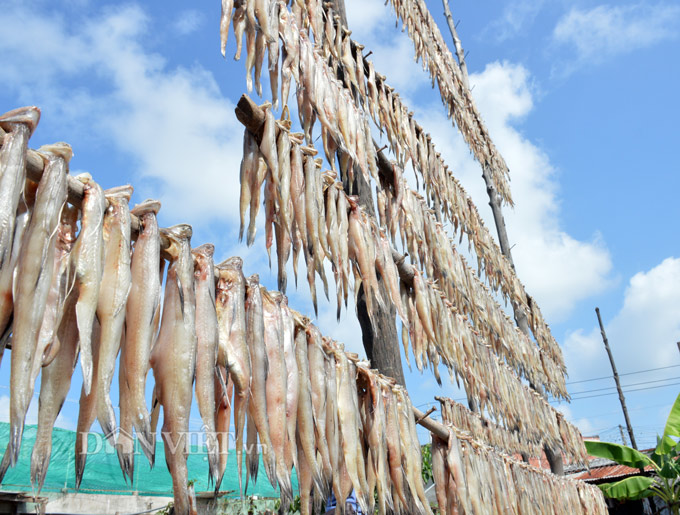 làng khô biển cái đôi vàm, khô cá mặn cái đôi vàm, cà mau, cá khô cà mau, Tết 2018, đặc sản Tết 2018 