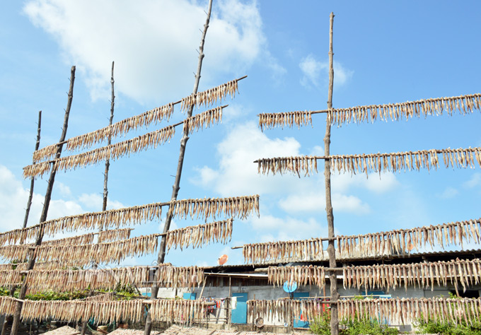 làng khô biển cái đôi vàm, khô cá mặn cái đôi vàm, cà mau, cá khô cà mau, Tết 2018, đặc sản Tết 2018 