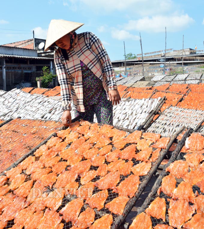 làng khô biển cái đôi vàm, khô cá mặn cái đôi vàm, cà mau, cá khô cà mau, Tết 2018, đặc sản Tết 2018 