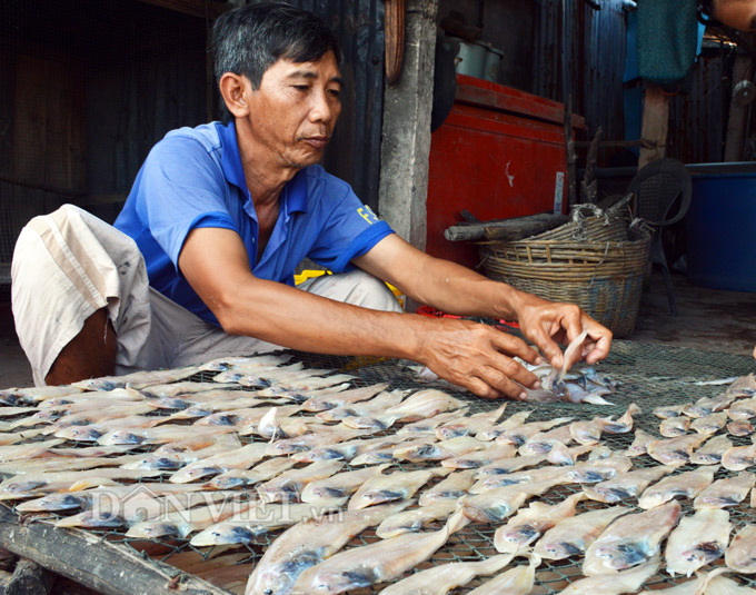 làng khô biển cái đôi vàm, khô cá mặn cái đôi vàm, cà mau, cá khô cà mau, Tết 2018, đặc sản Tết 2018 