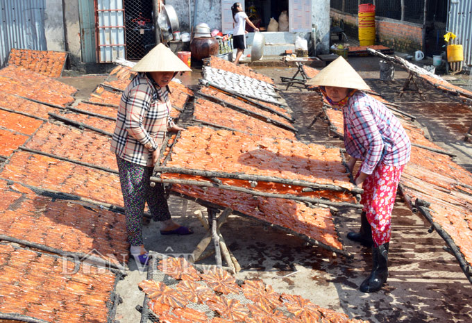 làng khô biển cái đôi vàm, khô cá mặn cái đôi vàm, cà mau, cá khô cà mau, Tết 2018, đặc sản Tết 2018 