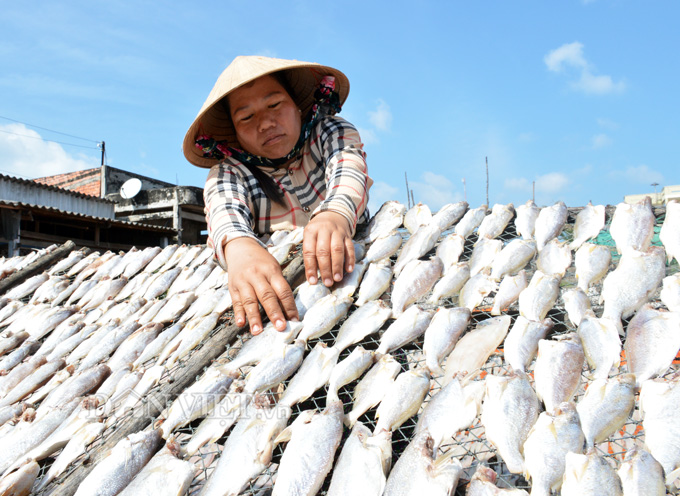 làng khô biển cái đôi vàm, khô cá mặn cái đôi vàm, cà mau, cá khô cà mau, Tết 2018, đặc sản Tết 2018 