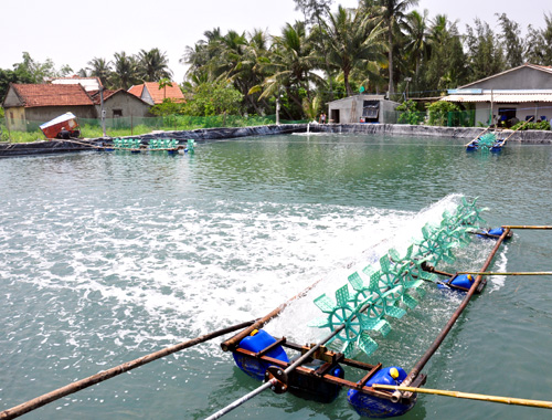 lấy đất làm hồ