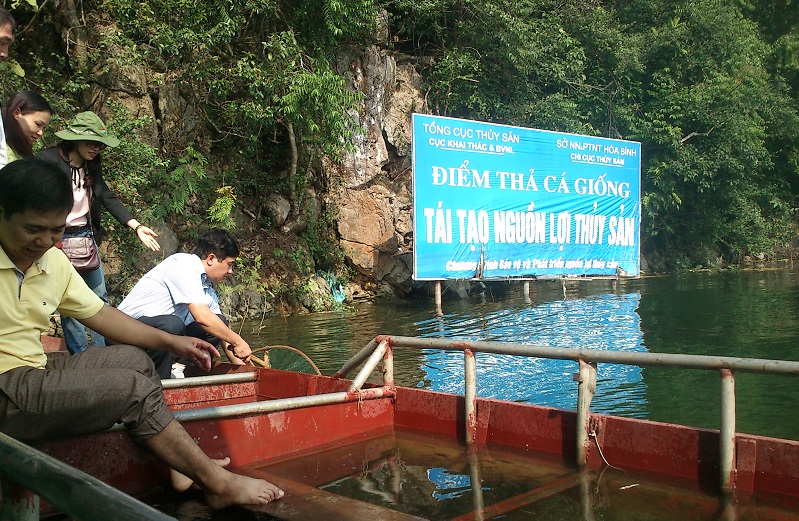 lễ thả cá giống