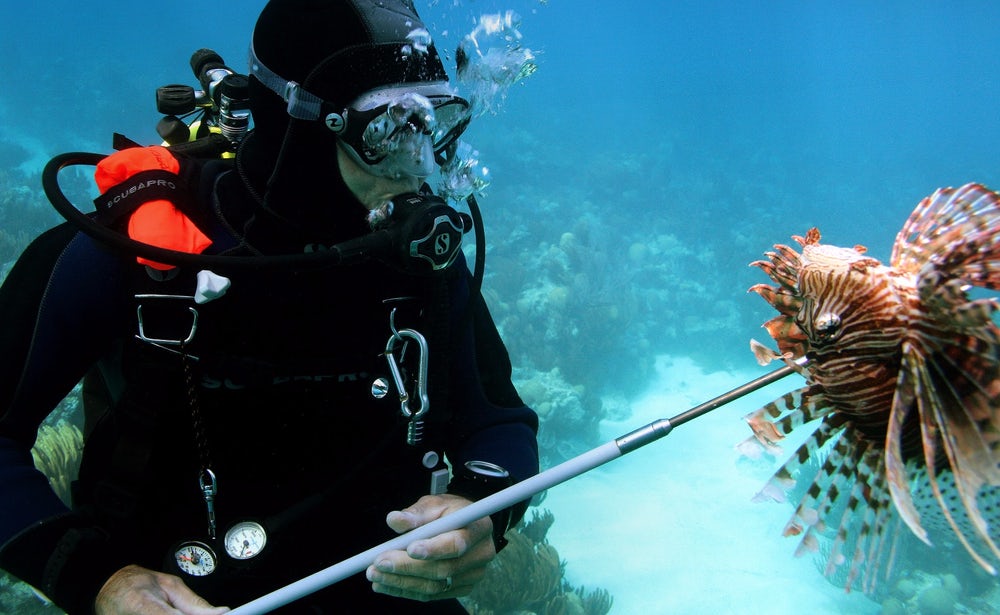 Dự án chế tạo robot tiêu diệt cá mao tiên(Lionfish)