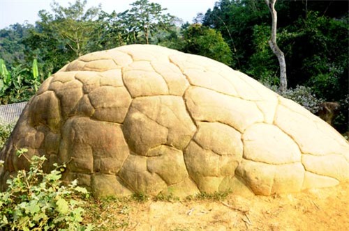 Phần mai rùa đá y hệt mai rùa thật.