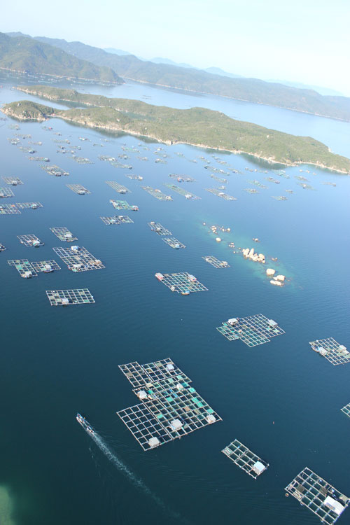 Vịnh Vân Phong chụp từ máy bay không người lái