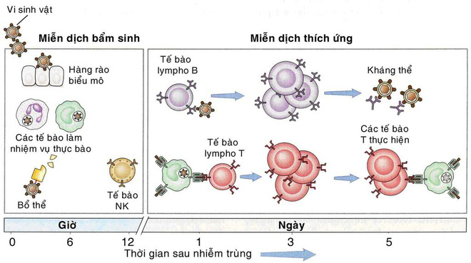 kháng sinh, kháng kháng sinh, sử dụng kháng sinh, lạm dụng kháng sinh, vi khuẩn kháng kháng sinh, cơ chế kháng sinh