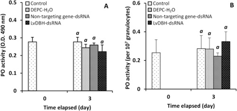 miễn dịch tôm, Enzyme Dopamine Beta-hydroxylase với tôm, miễn dịch trên tôm