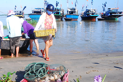 bắt ghẹ