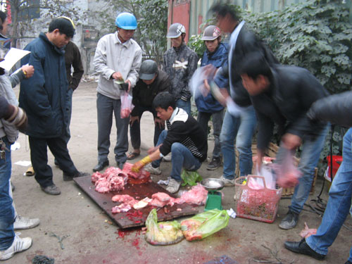 Đắt hàng như tôm tươi  