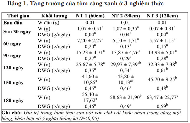 mô hình nuôi tôm, nuôi tôm càng xanh đổi mới, nuôi tôm, nuôi tôm càng xanh, kỹ thuật nuôi