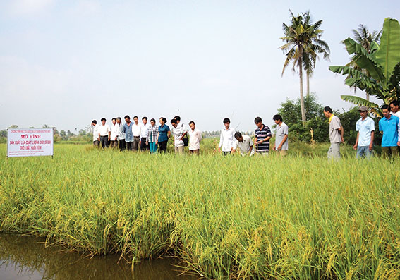 thủy sản, nuôi tôm, mô hình nuôi tôm, nuôi tôm quảng canh