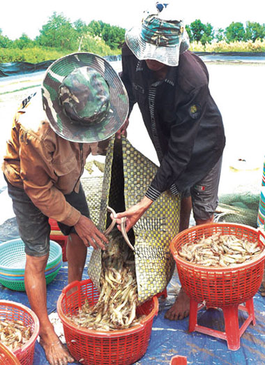 mô hình thủy sản hiệu quả