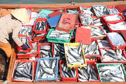 biển miền trung sao sự cố môi trường