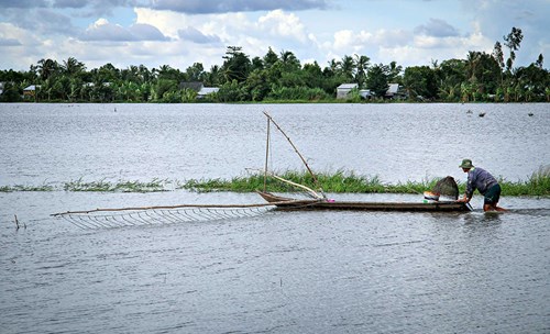 mùa nước nổi,đánh bắt cá, an giang, sông hậu, khai thác thủy sản, mùa nước lũ miền tây