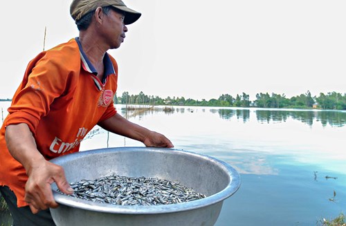 mùa nước nổi,đánh bắt cá, an giang, sông hậu, khai thác thủy sản, mùa nước lũ miền tây