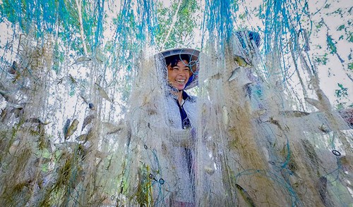 mùa nước nổi,đánh bắt cá, an giang, sông hậu, khai thác thủy sản, mùa nước lũ miền tây