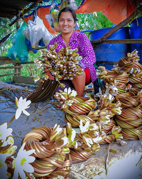 mùa nước nổi,đánh bắt cá, an giang, sông hậu, khai thác thủy sản, mùa nước lũ miền tây