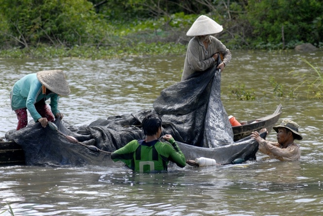 mưu sinh mùa nước lũ, mùa nước lũ miền tây, khai thác thủy sản, đánh bắt thủy sản