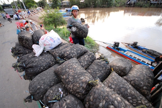 mưu sinh mùa nước lũ, mùa nước lũ miền tây, khai thác thủy sản, đánh bắt thủy sản