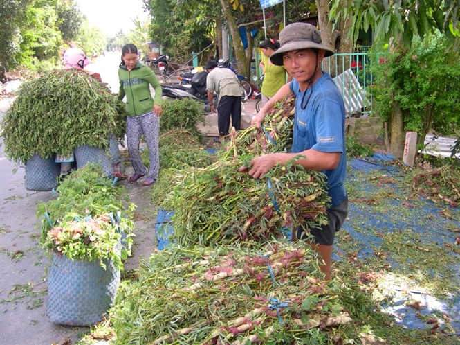 mưu sinh mùa nước lũ, mùa nước lũ miền tây, khai thác thủy sản, đánh bắt thủy sản